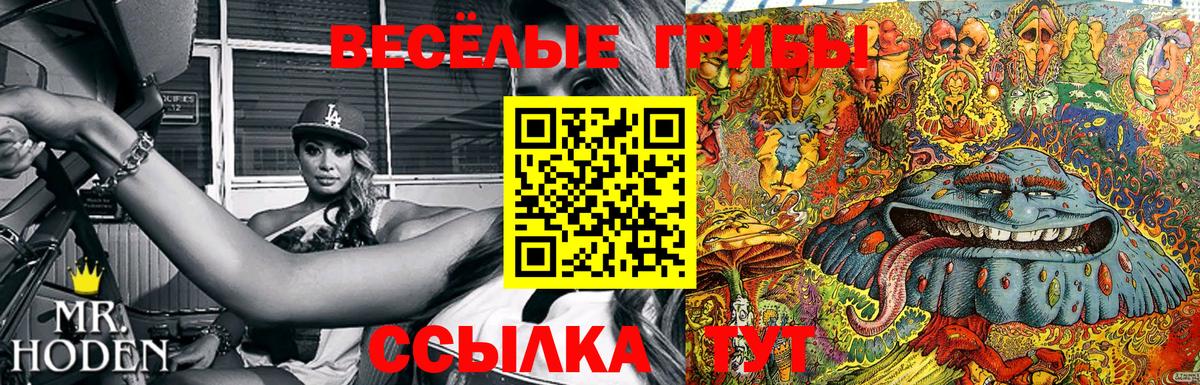 Псилоцибиновые грибы Psilocybine cubensis  Псилоцибиновые грибы Psilocybe  Вход с VPN  Большой Камень 