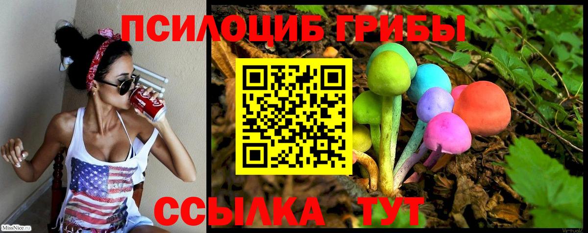 Галлюциногенные грибы GOLDEN TEACHER Большой Камень